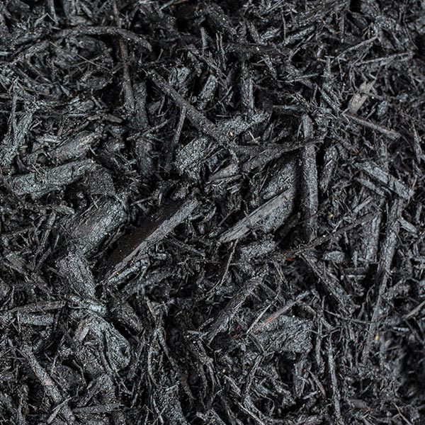 Black Dyed Mulch