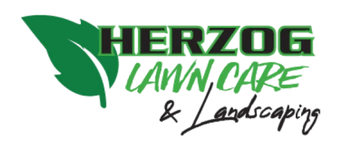 Herzog logo white stroke