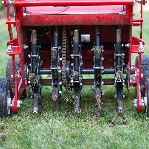 Aeration and overseeding