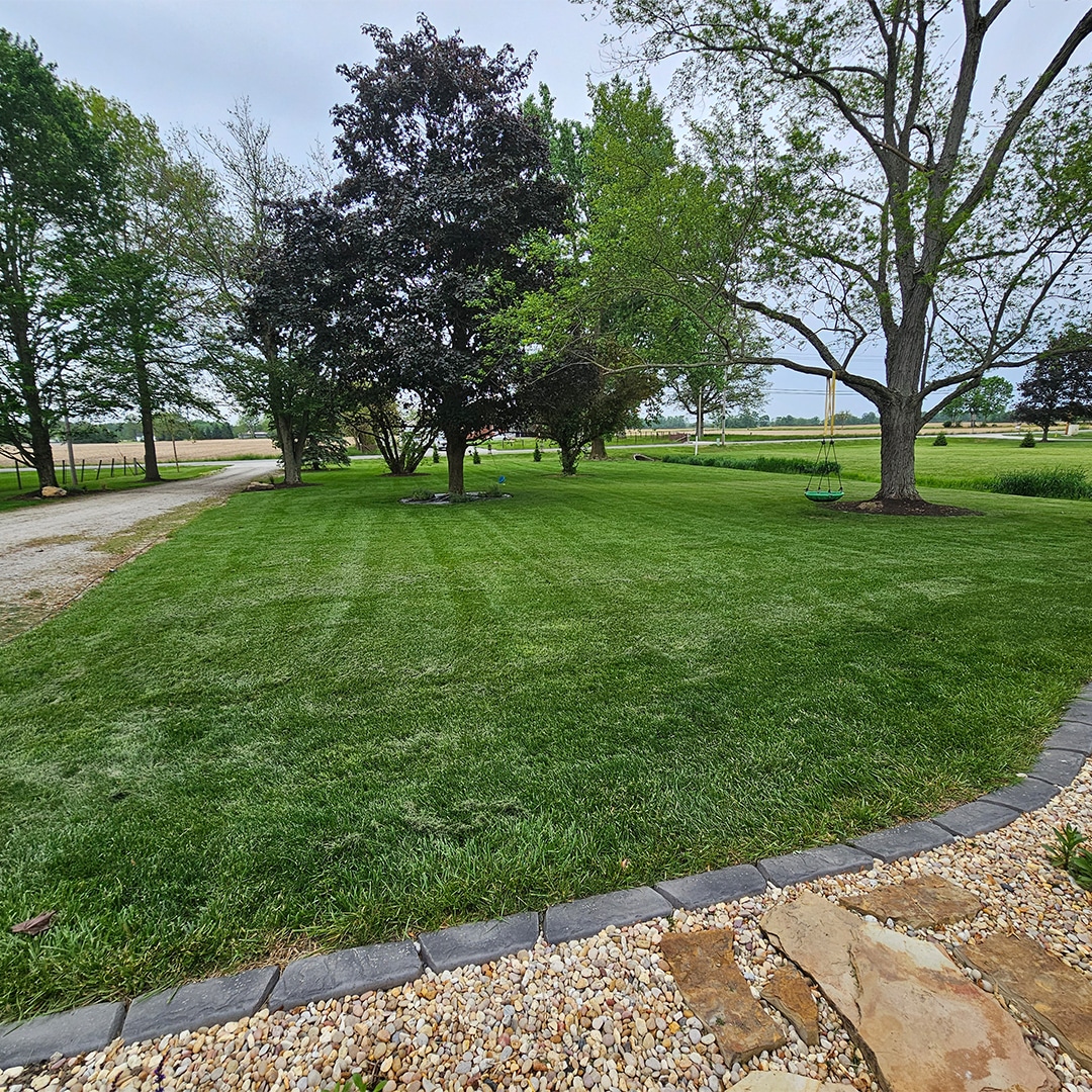 Herzog aeration overseeding