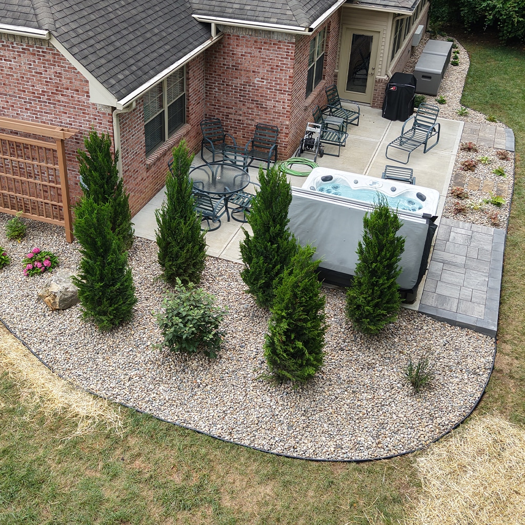 Intro 0002 tree planting