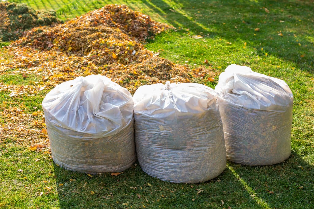 Fall Lawn Care